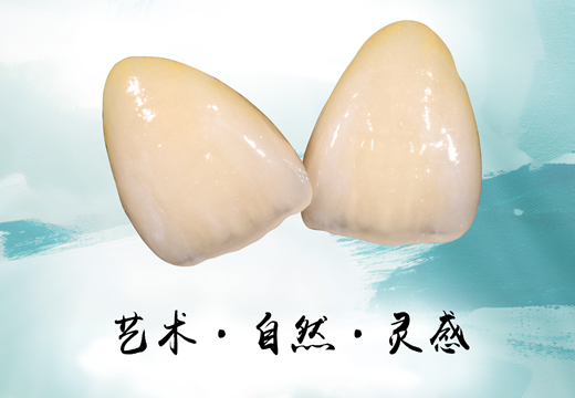 5星钻