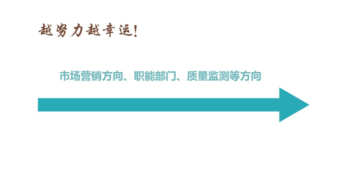 晋升方向3